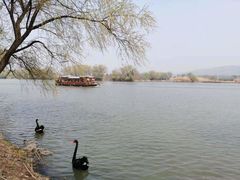 -长兴太湖图影湿地文化园