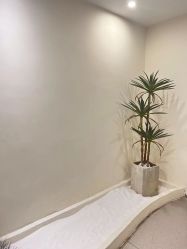 -康颜SPA自然疗愈皮肤管理中心
