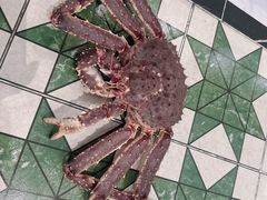 -帝皇海海鲜豆捞(桐泾商务广场店)