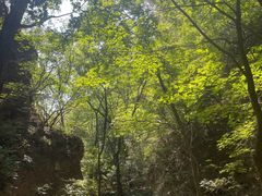 -玉渡山自然风景区