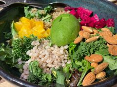 芥子酱羽翼甘蓝沙拉-小大董·烤鸭(凤凰汇店)