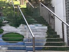 -九龙公园