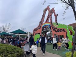 -季高兔窝窝亲子园(上海薰衣草公园店)