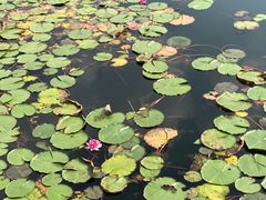 -苏州香山国际大酒店