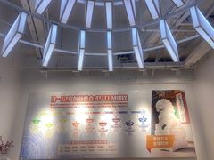 -斯坦星球AI编程·机器人科创·科学实验·信奥·思维·STEM·乐高·竞赛考级(长宁虹桥大融城荟聚中心)