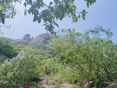-嵖岈山风景区