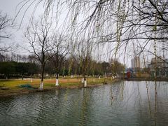 -白塘生态植物园