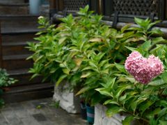 -慢丽江·云南野生菌土鸡锅(西山店)