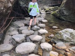 -牛背梁国家森林公园