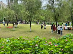 -沐仙湖湿地公园