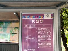 -靖西鹅泉风景区