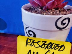 -Mesa Madre梅萨妈妈·Bintana(国贸店)