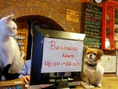 android_upload_pic-武汉探路者国际青年旅舍