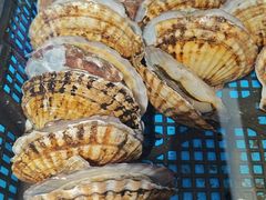 -渔港甄宴·海鲜·地标烟台菜(金沙滩店)