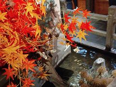 -蓉城老妈火锅(双林路店)