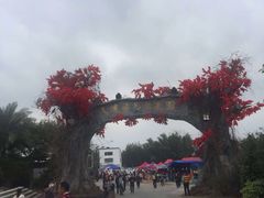 -天适樱花悠乐园