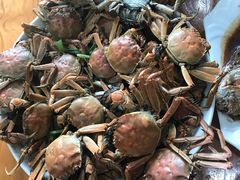 -锦桃农家菜馆
