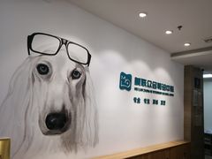 -美联众合动物医院·24h转诊中心
