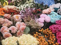 -双季花艺园艺市场(浦东店)