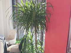 -正德楼果木烤鸭·渔家菜(东港店)