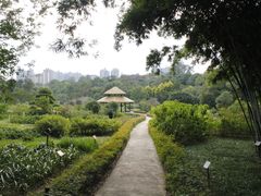 -广西壮族自治区药用植物园