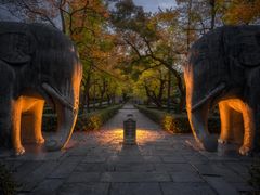 -灵谷景区