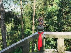 -重庆雨台山风景区