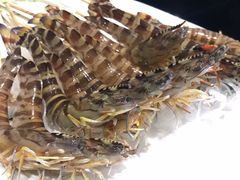 -官也街澳门火锅(新源里店)