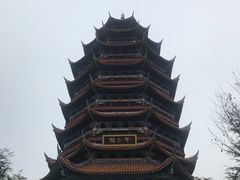 -铁山坪森林公园