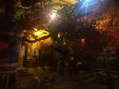 -江天生态园餐厅