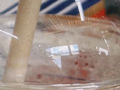 -7分甜(武林银泰店)