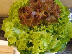 -澳门豆捞(裕华东路店)