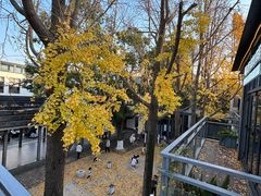 -虞山风景区