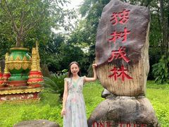 -瑞丽独树成林风景区