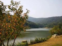 -南山风景名胜区