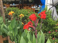 -清水湾3号(东方小周海鲜店)