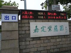 -嘉定紫藤园