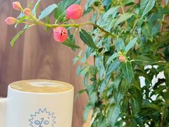 -Beans Solo豆号咖啡(百家湖花园店)