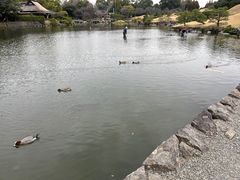 -水前寺成趣园