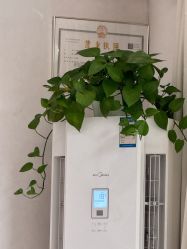 -慈蕊美容养生·专业经络调理