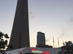 -加拿大国家电视塔