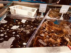 -盒马鲜生(大成店)