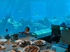 -海棠湾洲际-涛·海底餐厅·美人鱼·自助餐·海底隧道