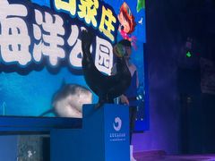 -石家庄海洋公园