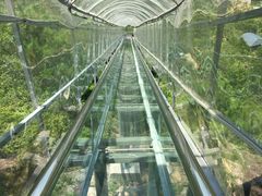 -汕尾铜鼎山旅游区