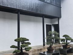 -绮园景区