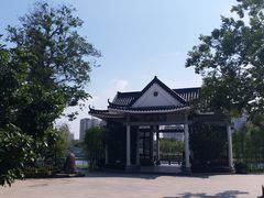 -映月湖公园