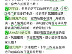 -日照海滨国家森林公园