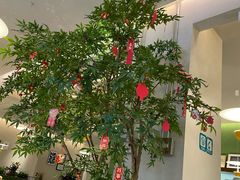 -Aqua Oasis 水天堂(太湖中心mall店)