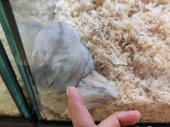 -鹏欣水游城